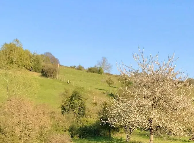 B&B Grande Familiale Jaune Bonnement Bien 3*