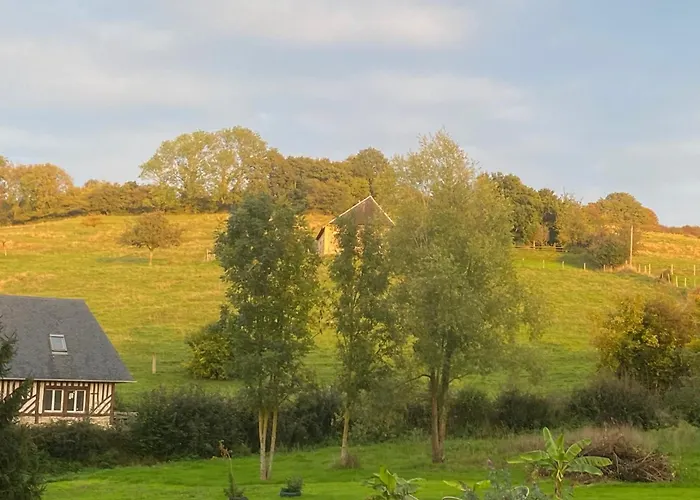 Grande Familiale Jaune Bonnement Bien B&B